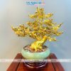 Bonsai hoa mai đồng dát vàng 24k