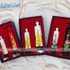 hop-co-gai-ao-dai