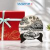 Tranh Đĩa Sơn Mài Đồng Quê Trắng Đen